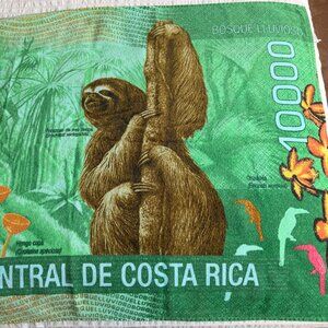 NWOT Costa Rica Sloth Beach Towel